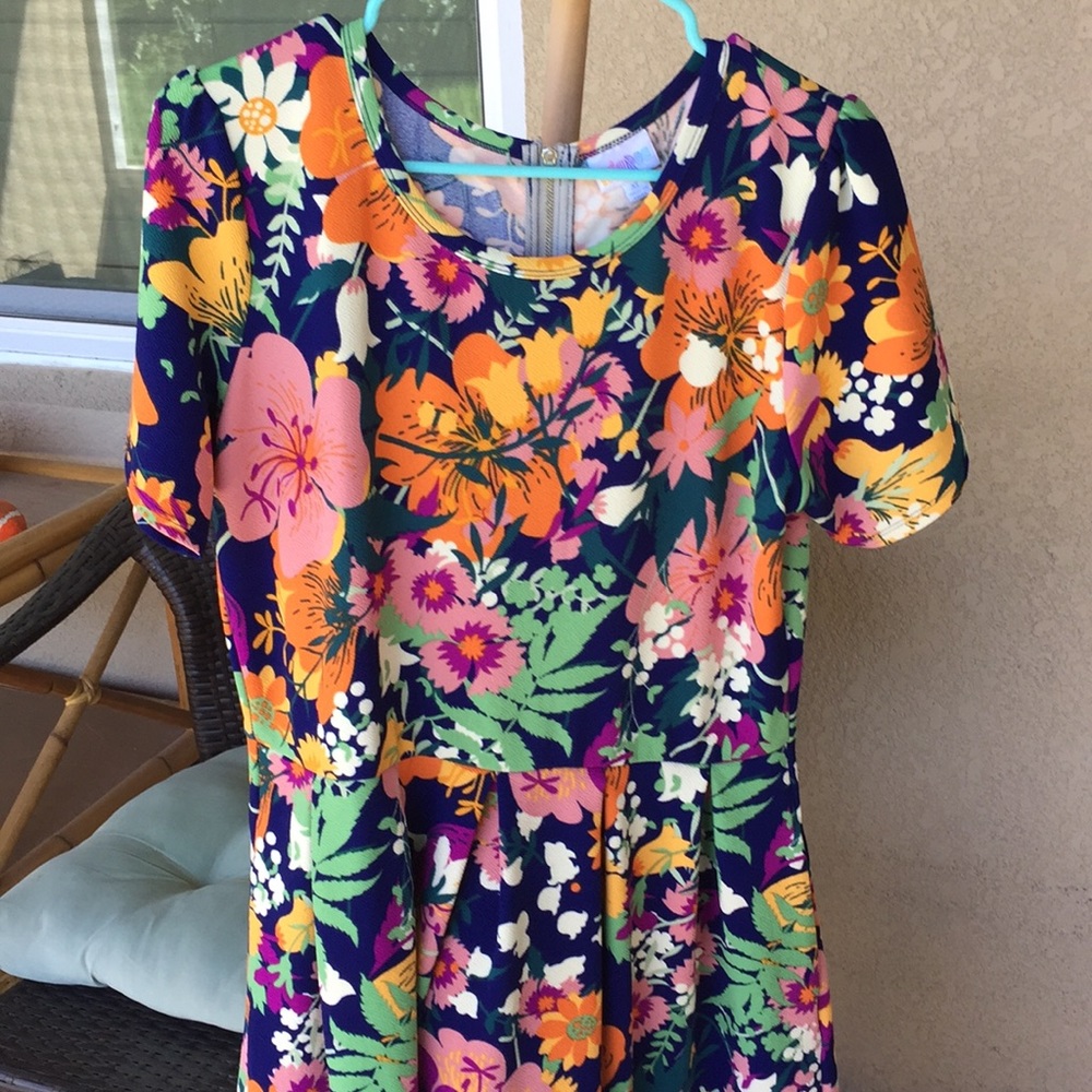 Lula roe Amelia dress